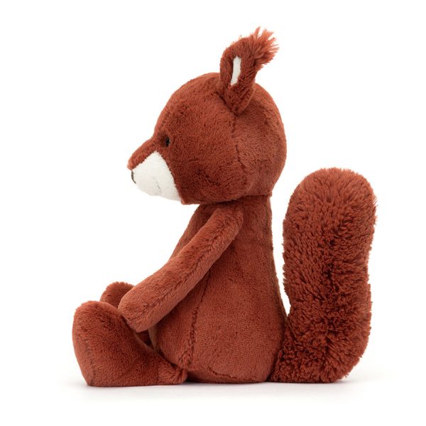Bashful Squirrel - Image 2
