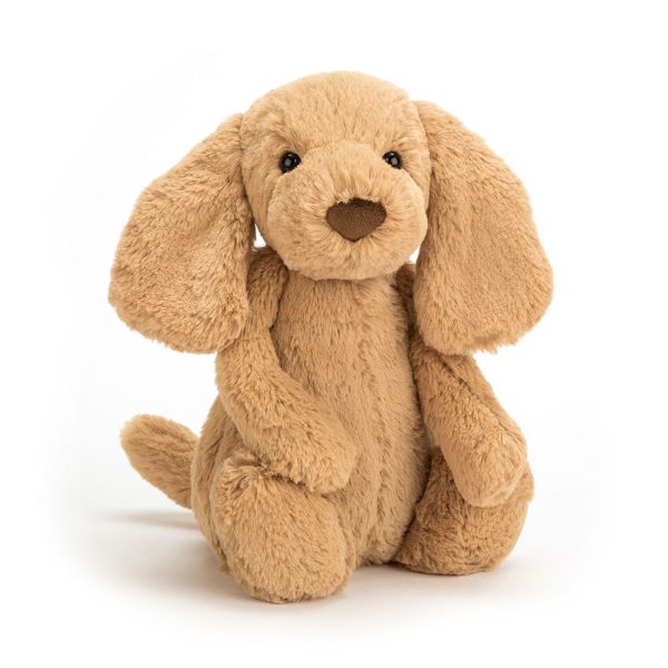 Bashful Toffee Puppy - Image 7