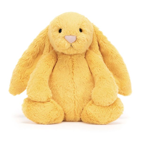 Bashful Sunshine Bunny - Image 6