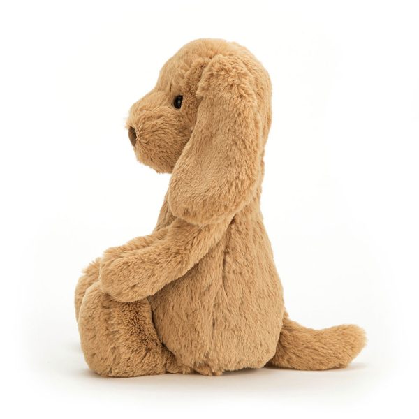 Bashful Toffee Puppy - Image 17
