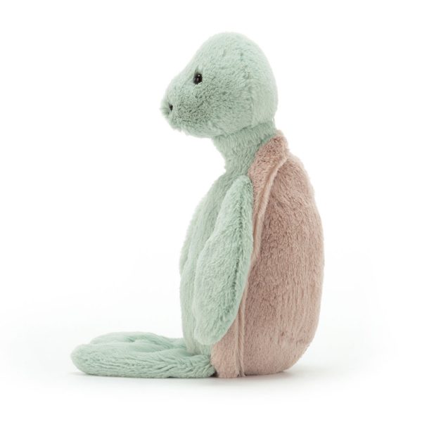 Bashful Turtle - Image 8