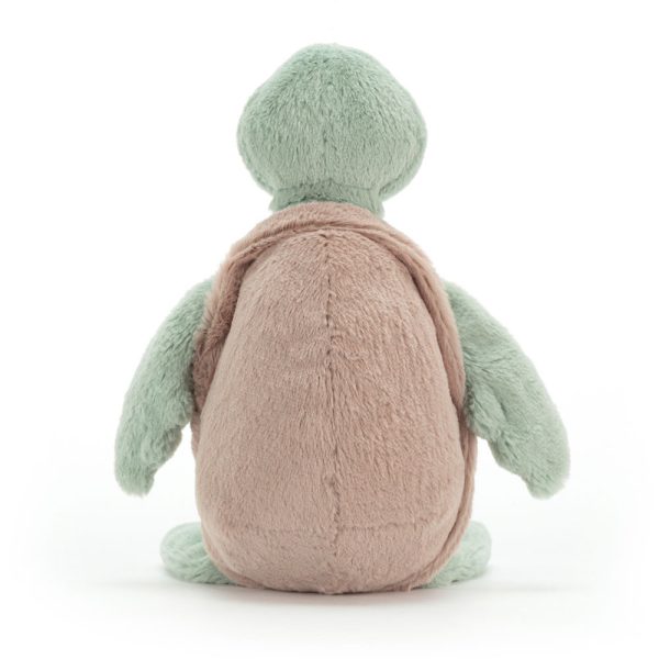 Bashful Turtle - Image 9