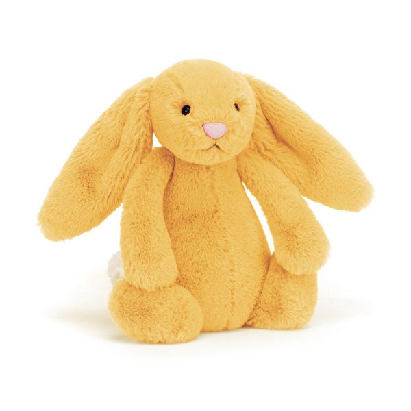 Bashful Sunshine Bunny - Image 9