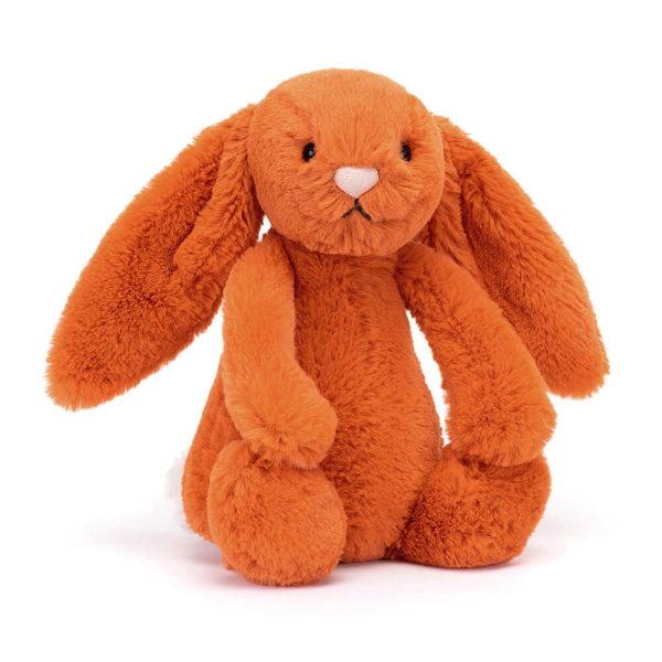 Bashful Tangerine Bunny - Image 4