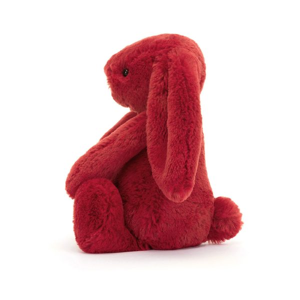 Bashful Cranberry Bunny - Image 2