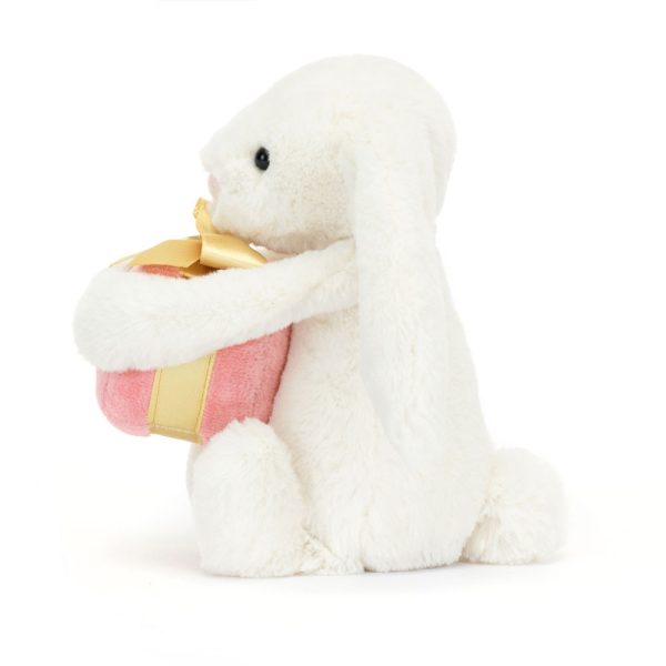 Bashful Bunny with Present - Image 2
