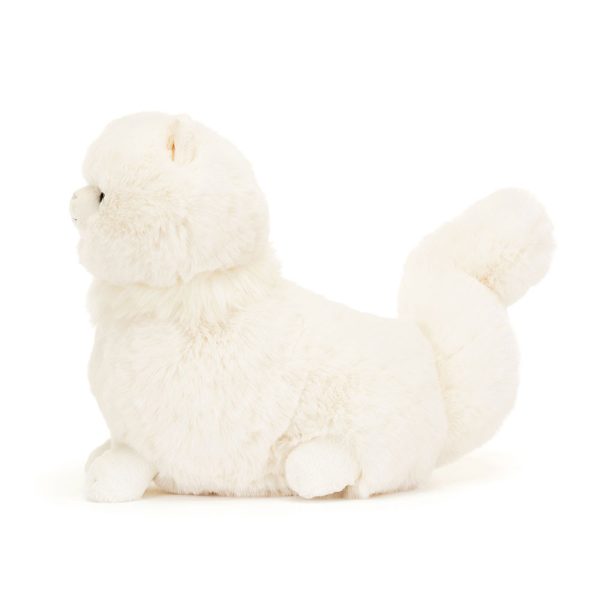Carissa Persian Cat - Image 2