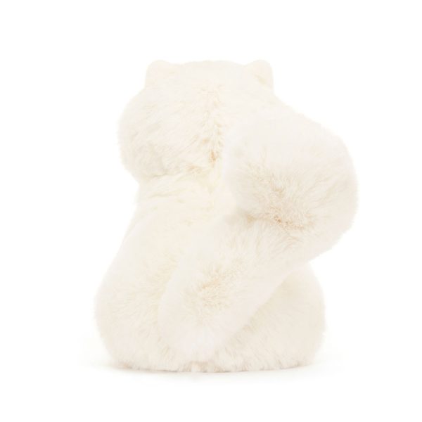 Carissa Persian Cat - Image 3