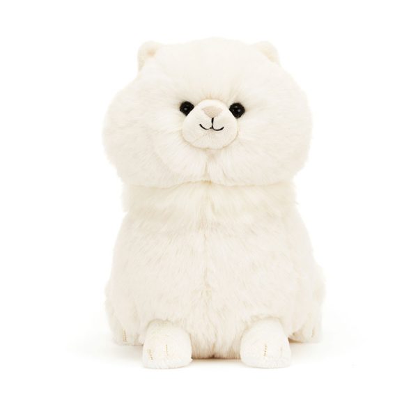 Carissa Persian Cat - Image 4