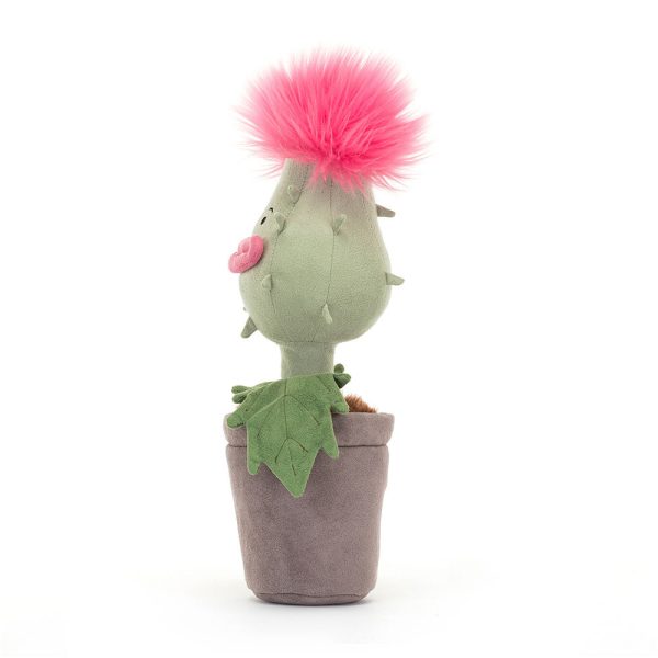 Carniflore Priscilla - Image 3