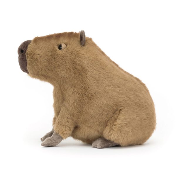 Clyde Capybara - Image 2