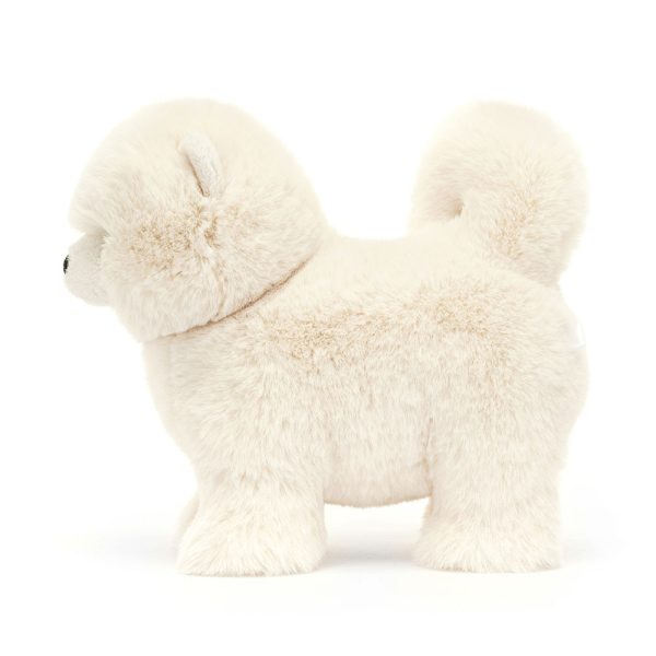 Daphne Pomeranian - Image 3