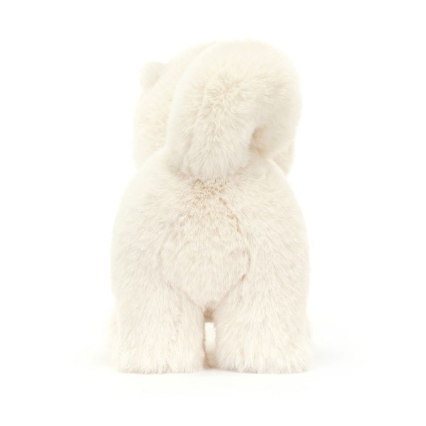 Daphne Pomeranian - Image 4