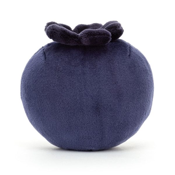 Fabulous Fruit Blueberry - Image 3