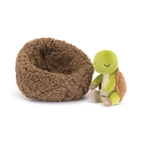 Hibernating Tortoise - Image 2