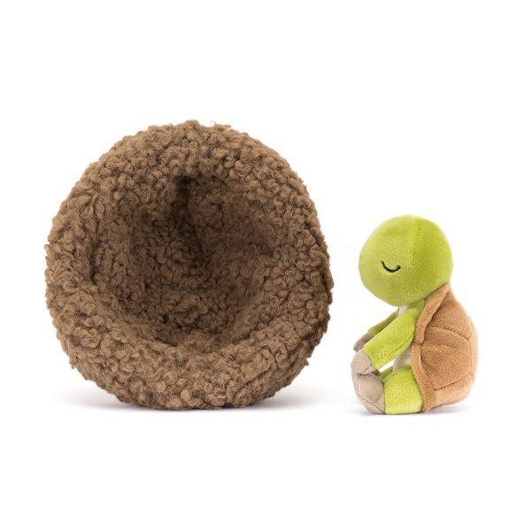 Hibernating Tortoise - Image 3