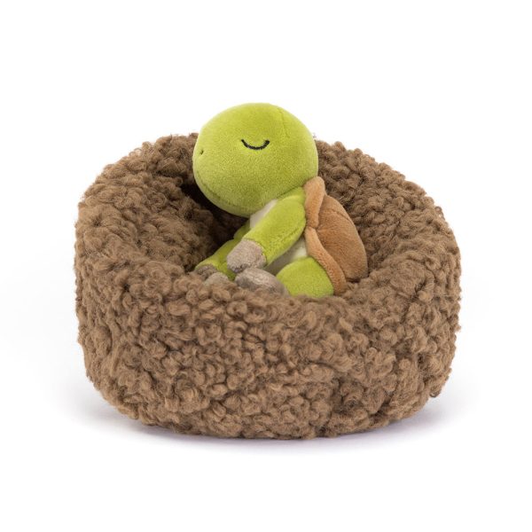 Hibernating Tortoise - Image 4