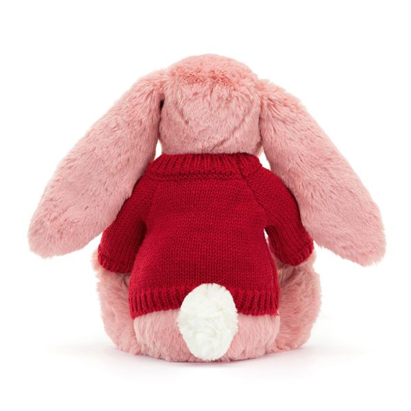 Bashful Petal Bunny with Personalised Red Jumper - Image 4