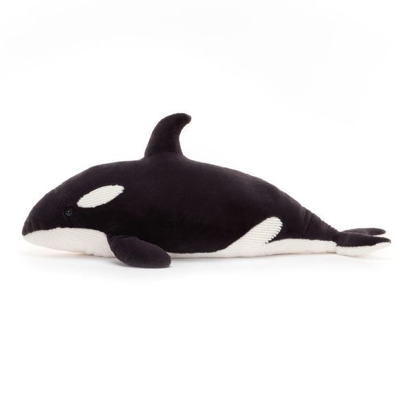 Ollivander the Orca - Image 2