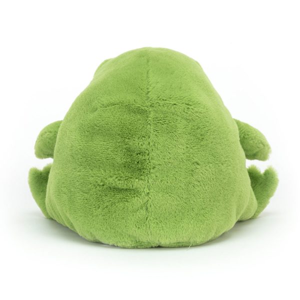 Ricky Rain Frog - Image 9