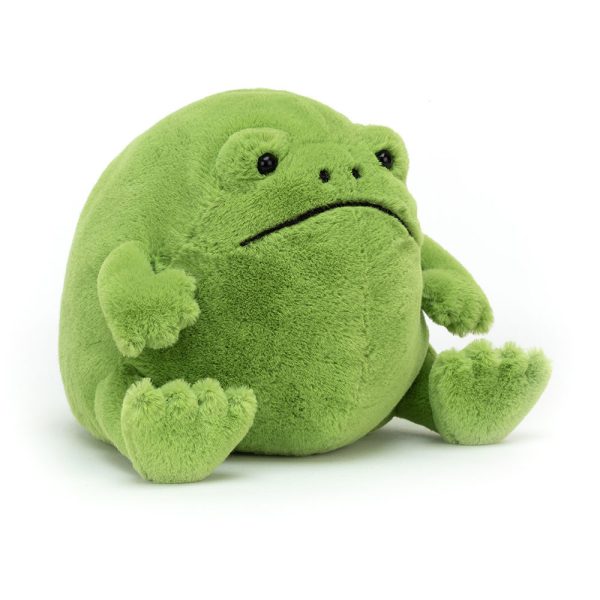 Ricky Rain Frog - Image 7