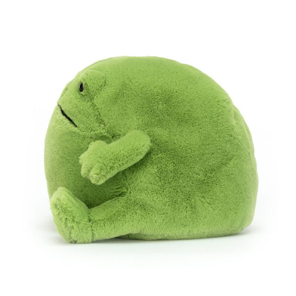 Ricky Rain Frog - Image 5