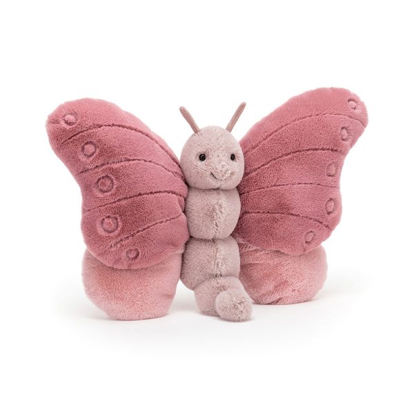 If I Were A Butterfly Book and Beatrice Butterfly - Image 4