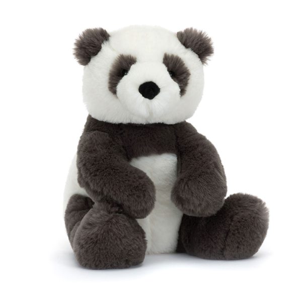 If I Were A Panda Book and Harry Panda Cub Small - Image 4