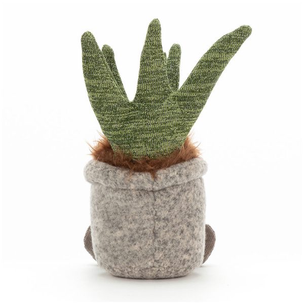 Silly Succulent Aloe - Image 3