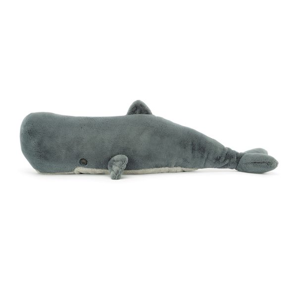 Sullivan the Sperm Whale - Image 2