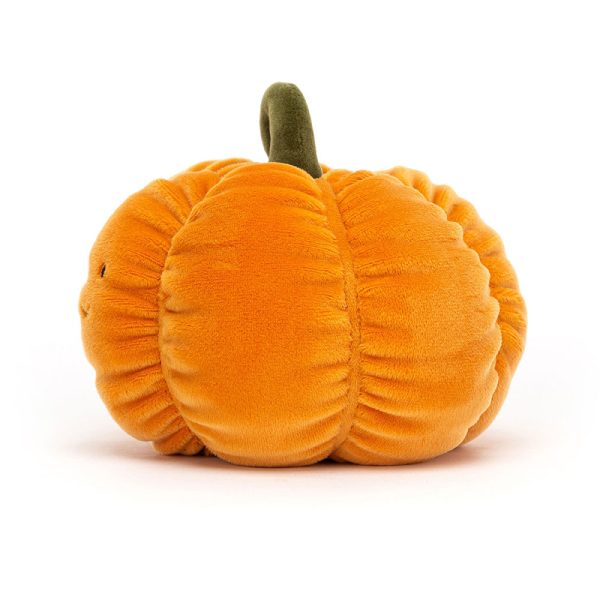 Vivacious Vegetable Pumpkin - Image 2