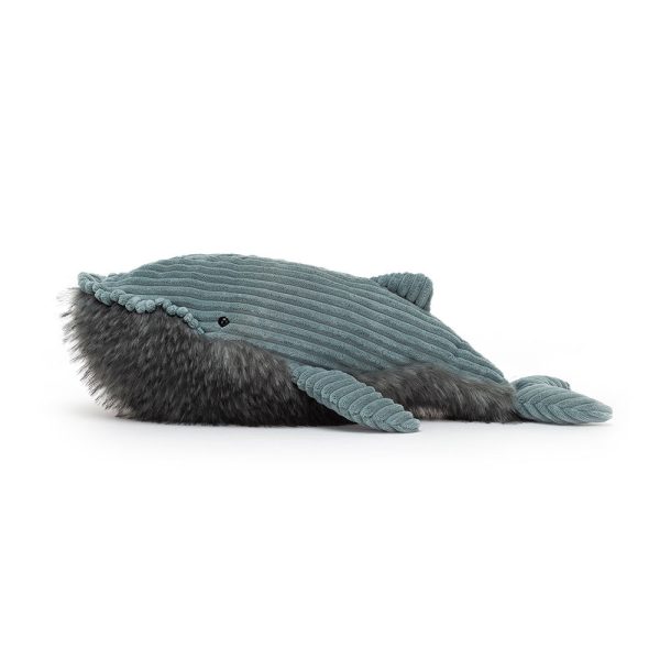 Wiley Whale - Image 8