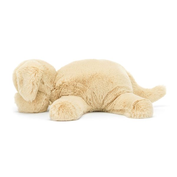Wanderlust Puppy - Image 2