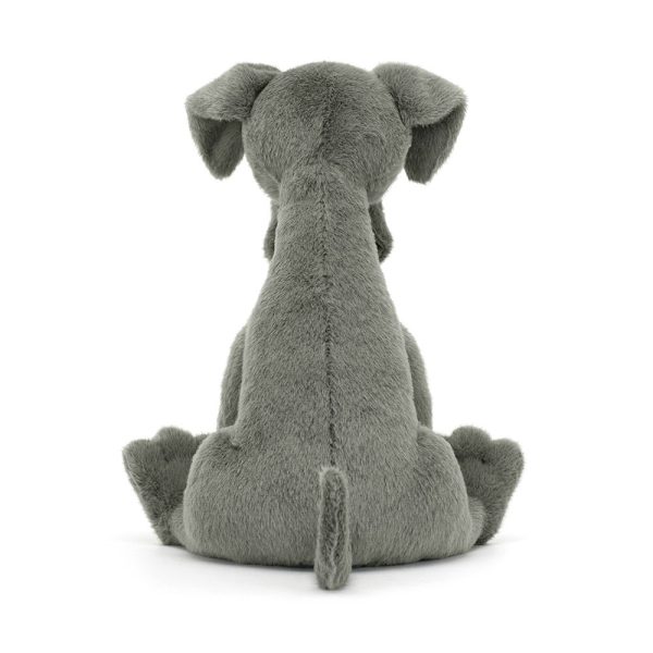 Zeus Great Dane - Image 3